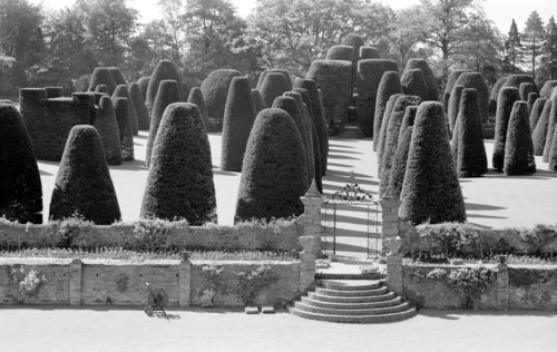 Yew Garden, Packwood House, Lapwood, Warwickshire, 1945-1980