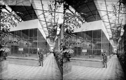 Monkey House, Zoological Gardens, Regent's Park, Westminster, London, c1870-1900