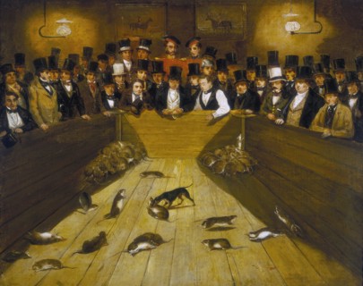 'Rat-Catching at the Blue Anchor Tavern, Bunhill Row, Finsbury', c1850. Creator: Unknown.