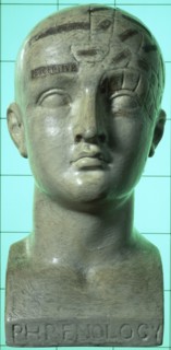 Phrenological head, 19th century. Artist: Unknown