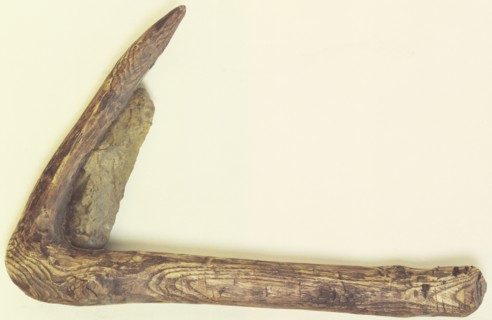 Prehistoric sickle. Artist: Unknown