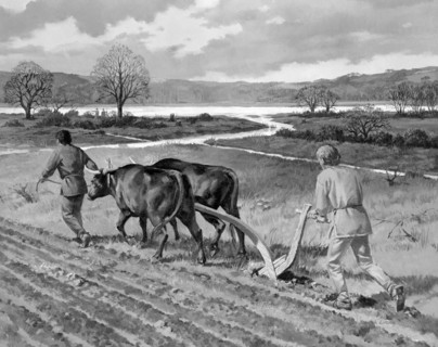 Ploughing in the Bronze Age. Artist: Unknown