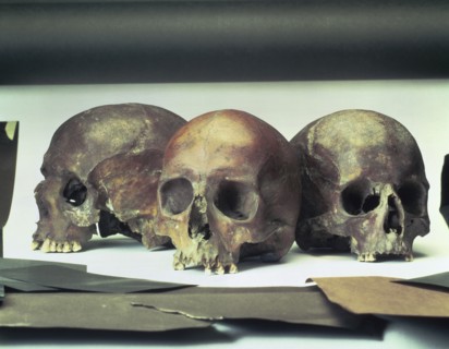 Skulls found in the stream-bed of the Walbrook, London, (60 AD?). Artist: Unknown