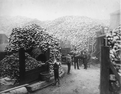 Coconut fibre works, Millwall, London, 1885. Artist: Unknown