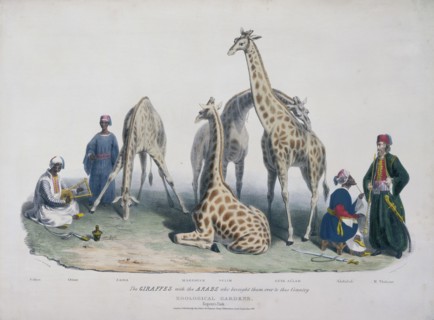 Zoological Gardens, Regent's Park, Marylebone, London, 1836. Artist: George Scharf