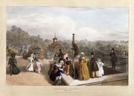 The Zoological Gardens at Regent's Park, London, 1835.  Artist: Charles Joseph Hullmandel