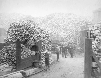 Coconut fibre works, Millwall, London, 1885. Artist: Unknown