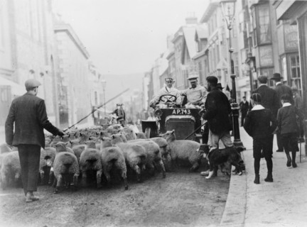 A car surrounded by sheep, Lewes High Street, East Sussex. Artist: Unknown