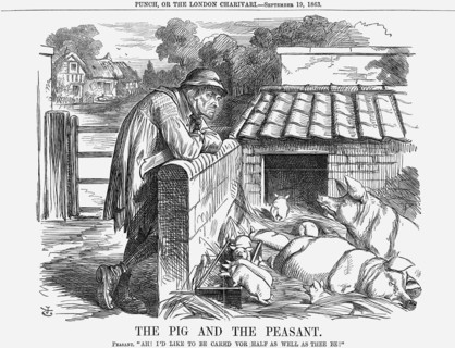 'The Pig and The Peasant', 1863. Artist: John Tenniel