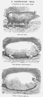 'A Darwinian Idea', 1865. Artist: TW Woods