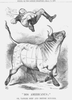 Bos Americanus, 1877. Artist: Joseph Swain