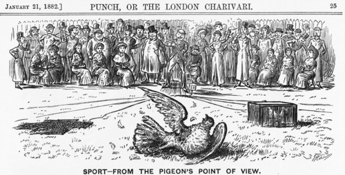 'Sport from the Pigeon's Point of View', 1882. Artist: Unknown