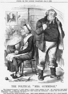 The Political Mrs Gummidge', 1885. Artist: Joseph Swain