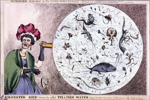 'Monster soup commonly called Thames water...', 1828. Creator: William Heath.