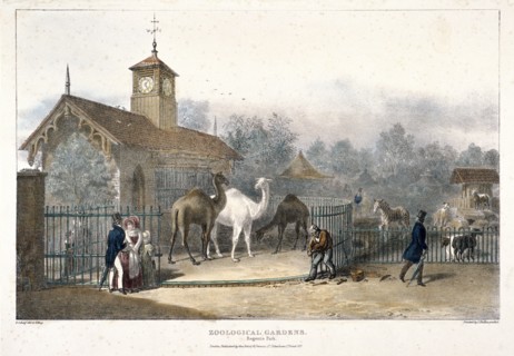 Zoological Gardens, Regent's Park, London, 1835. Artist: Charles Joseph Hullmandel