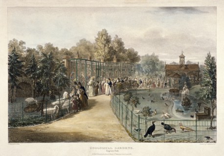 Zoological Gardens, Regent's Park, London, 1835. Artist: George Scharf