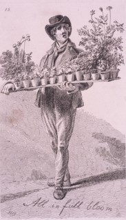'All in full bloom', Cries of London, 1819. Artist: John Thomas Smith