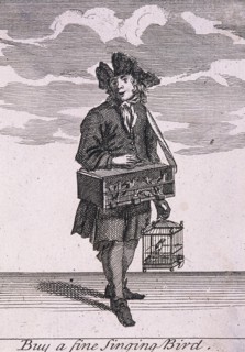 'Buy a fine Singing Bird', Cries of London, (c1688?). Artist: Anon