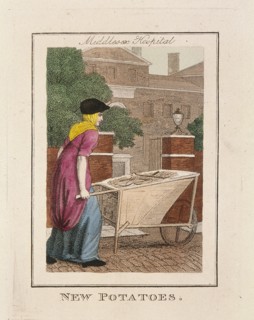 'New Potatoes', Cries of London, 1804. Artist: Anon