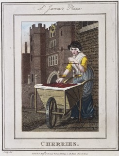 'Cherries', Cries of London, 1804. Artist: Anon