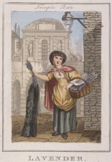 'Lavender', Cries of London, 1804. Artist: Anon
