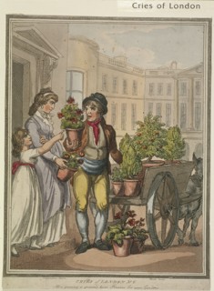 'All a growing, a growing, heres Flowers for you Gardens', plate VI of Cries of London, 1799. Artist: H Merke