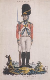 Grenadier in the Bank Volunteers, holding a rifle with a bayonet attached, 1799. Artist: John Barlow