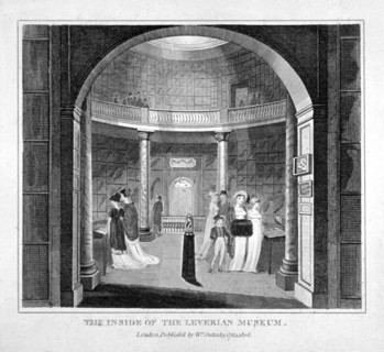 Interior view of the Leverian Museum, Albion Place, Southwark, London, 1806. Artist: Anon