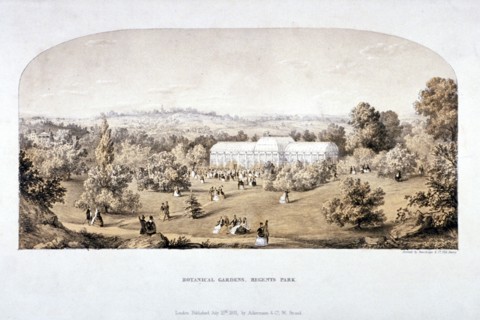 View of the Botanical Gardens in Regents Park, Marylebone, London, 1851. Artist: Anon