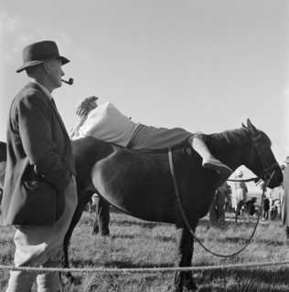 A pony on Exmoor, Somerset, c1946-c1959