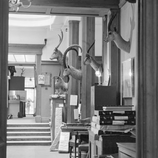 Holland and Holland, gunmakers, 13 Bruton Street, Mayfair, London, June 1980