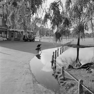 Hare and Billet Pond, Blackheath, London, 1955-1965