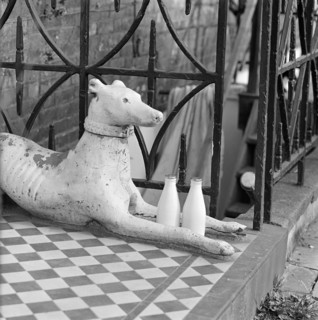 Stone greyhound and milk bottles, Duncan Terrace, Islington, London, 1962-1964