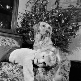 Child, dog and Christmas tree, December 1960