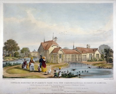 Cottage erected in St James's Park for the Ornithological Society of London, Westminster, 1844. Artist: John Burges Watson
