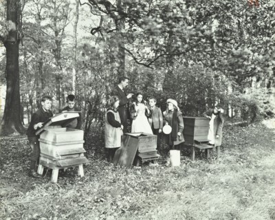 Children feeding bees for the winter, Shrewsbury House Open Air School, London, 1909. Artist: Unknown.