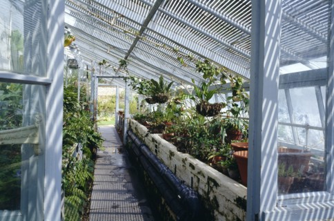 Darwin's greenhouse, Down House, Downe, London