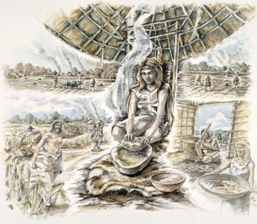 Neolithic Grain Production, (c1990-2010)