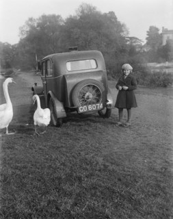 A young girl next to a motor car, probably an Austin 7, with two swans, c1930s