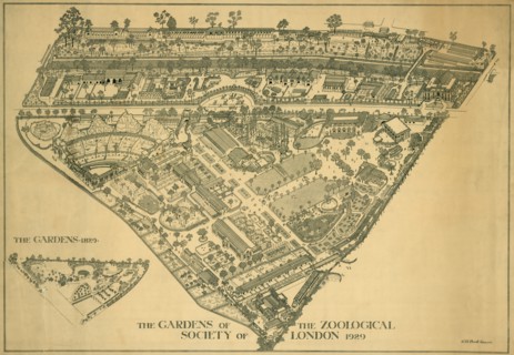 London Zoo, Regents Park, Westminster, 1929