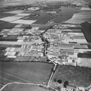 Foxash Estate, Ardleigh, Essex, 1967