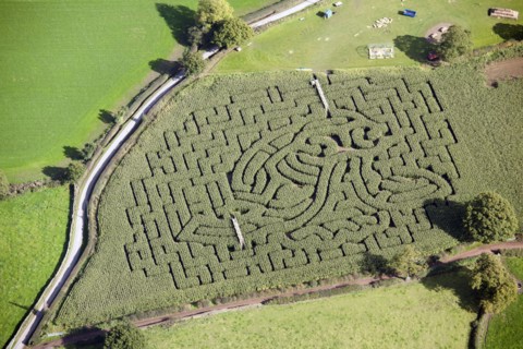 Maize Maze, Jowett House Farm, Cawthorne, Barnsley, South Yorkshire, c2015