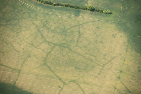 Neolithic long mortuary enclosures, Stoke Hammond, Buckinghamshire, 2011