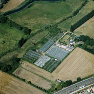 Market garden near Sandy, Bedfordshire, 2005