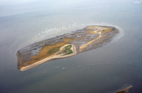 Stert Island, near Burnham on Sea, Somerset, 1970