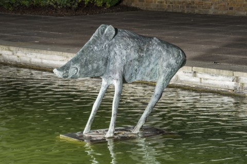 Boar', the Water Gardens, Harlow, Essex, 2015