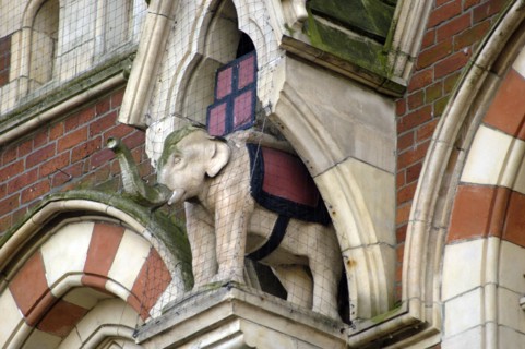 Elephant in niche, Elephant Tea Rooms, 64-66 Fawcett Street, Sunderland, Tyne and Wear, 2008