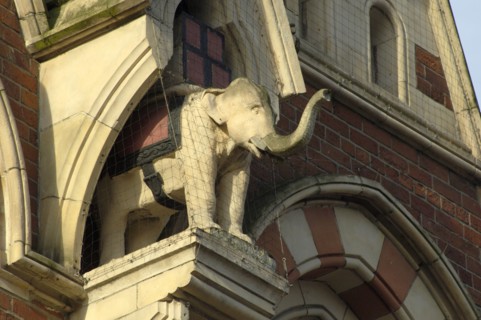 Elephant in niche, Elephant Tea Rooms, 64-66 Fawcett Street, Sunderland, Tyne and Wear, 2008