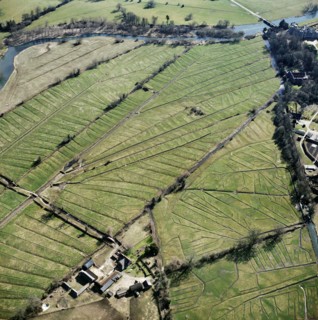 Water meadows, Lower Farm, Britford, Wiltshire, 2006