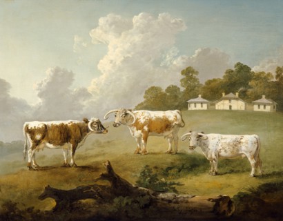 Three Long-horned Cattle at Kenwood', 1797